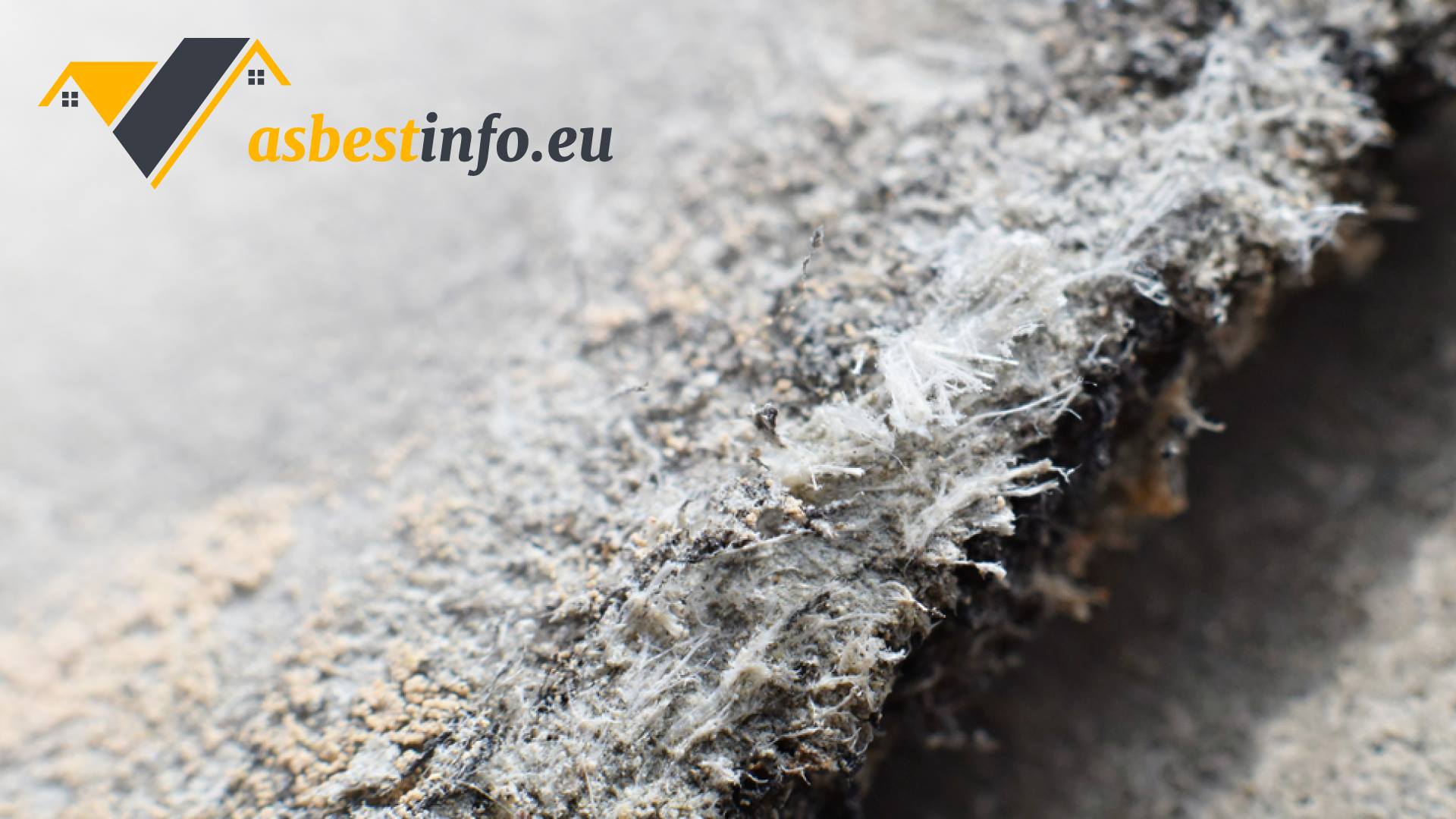 Premie en subsidie voor verwijderen van asbest Asbestinfo